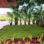 Golden Magnolia Homestay
