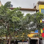 Collection O Vijaya Lakshmi Residency