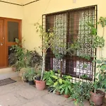 Honeydew Habitat