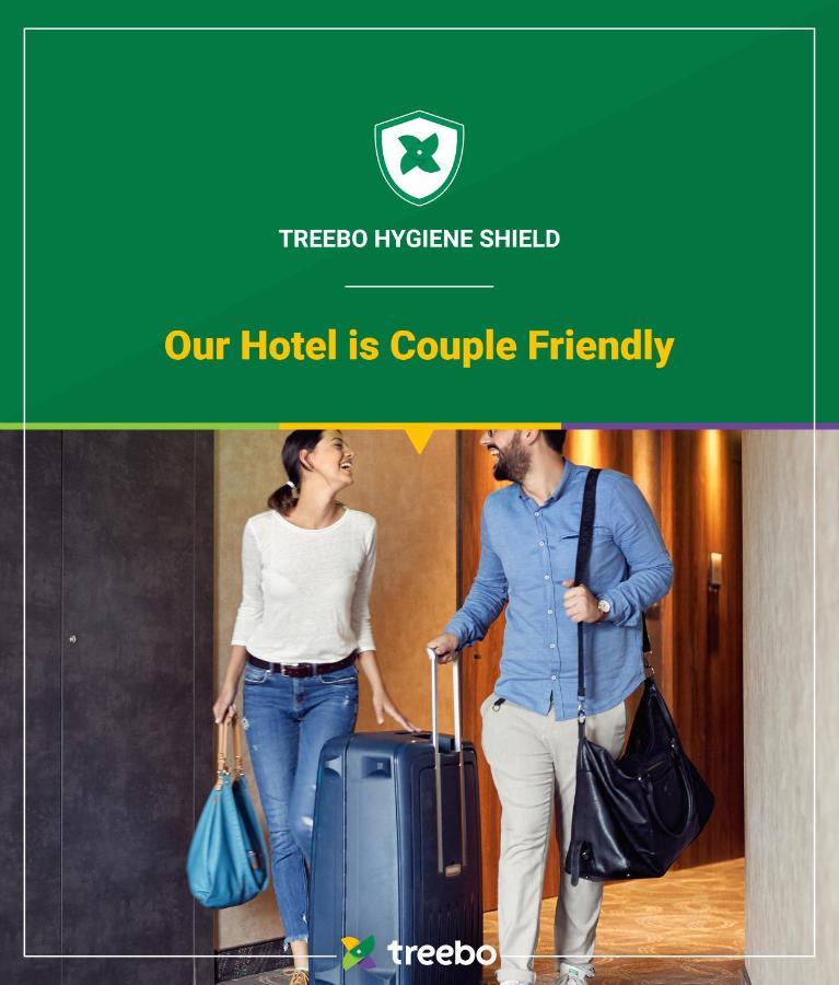 Treebo Trend Oyster