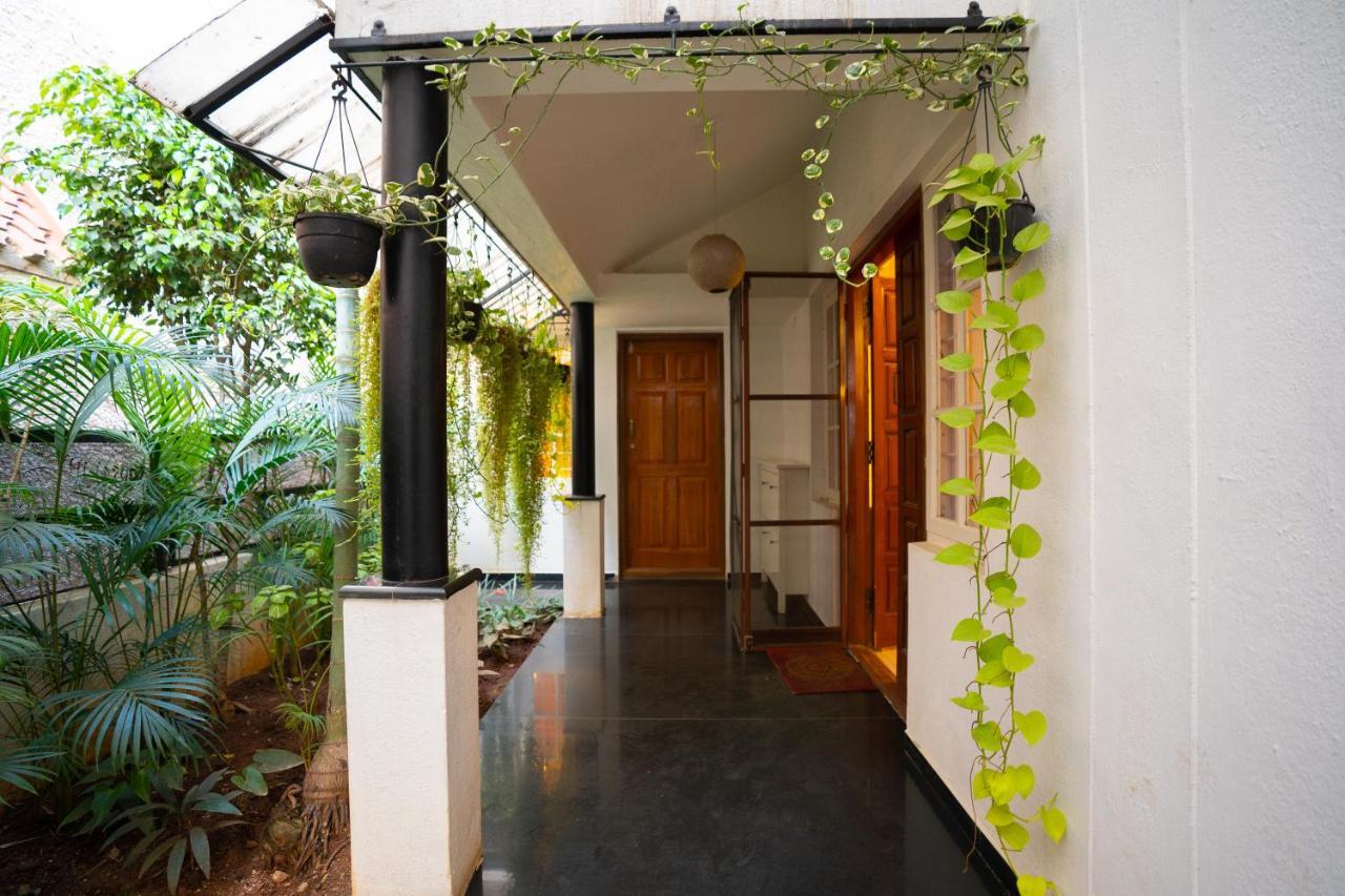 Luho Homestay *