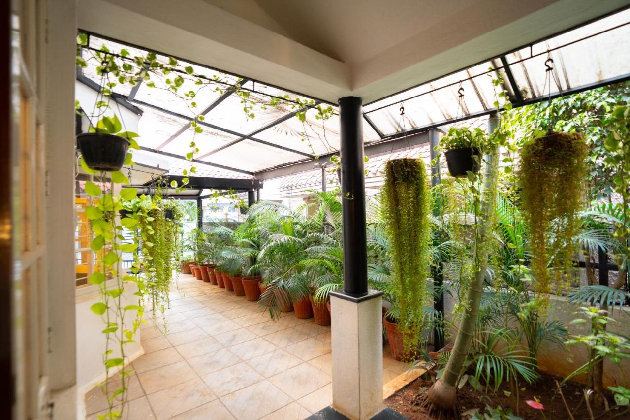 Luho Homestay