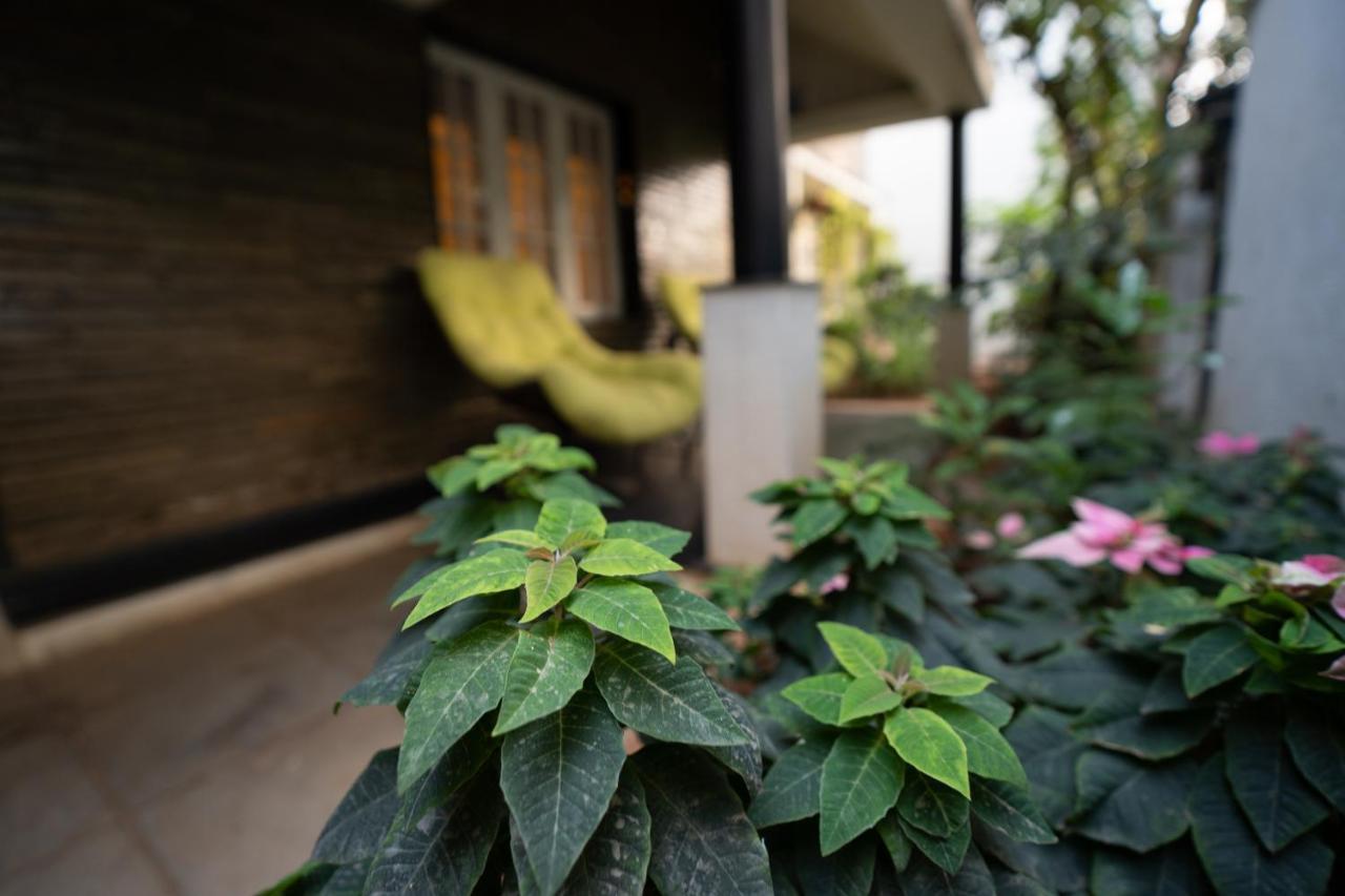 Luho Homestay