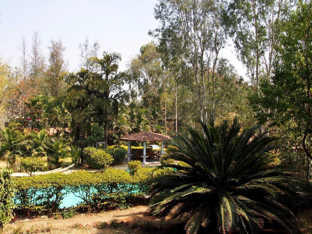 Eagle Ridge 3*