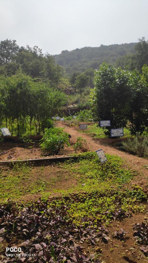 Euphoria Farms Campsite *
