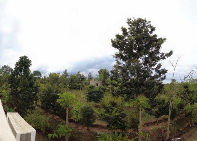 Farm stay Sattva