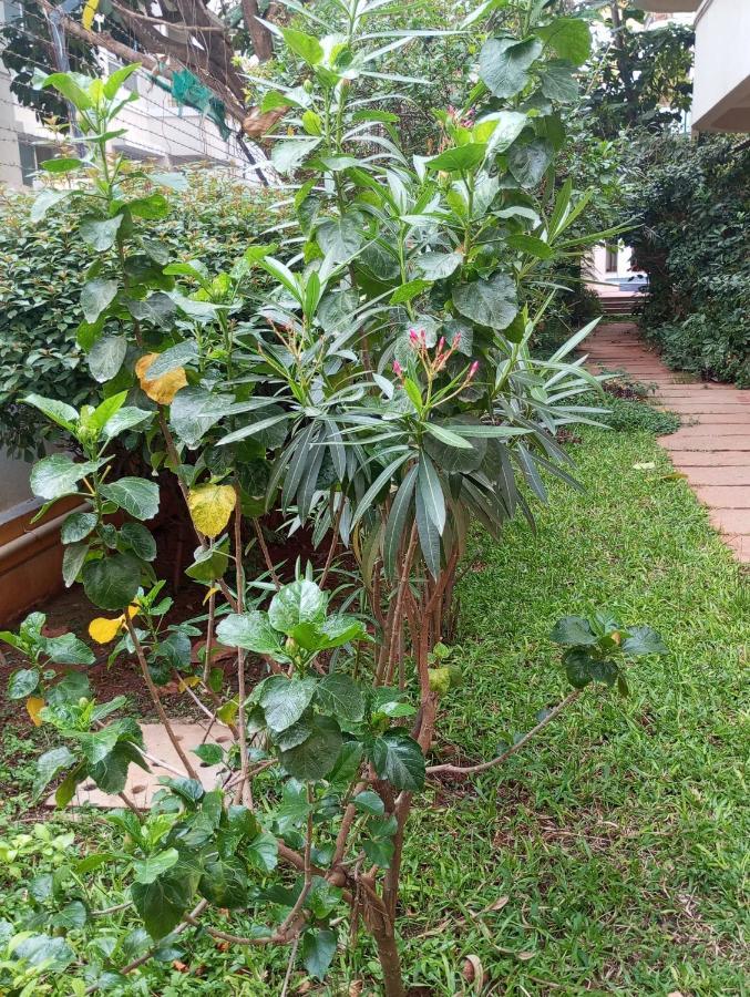 Amazistay Offers Luxury With Private Bathroom, Balcony & 55 Inch Tv & Shared Jacuzzi Paid Access, Book Lover, Near Ramaiah College Hospital * Bangalore