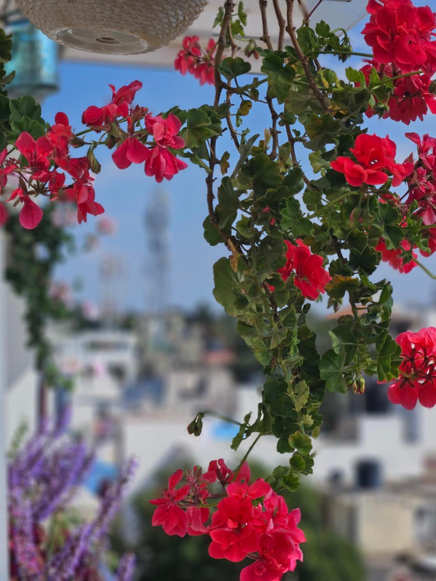 Rvr - Beautiful Homestay Bangalore