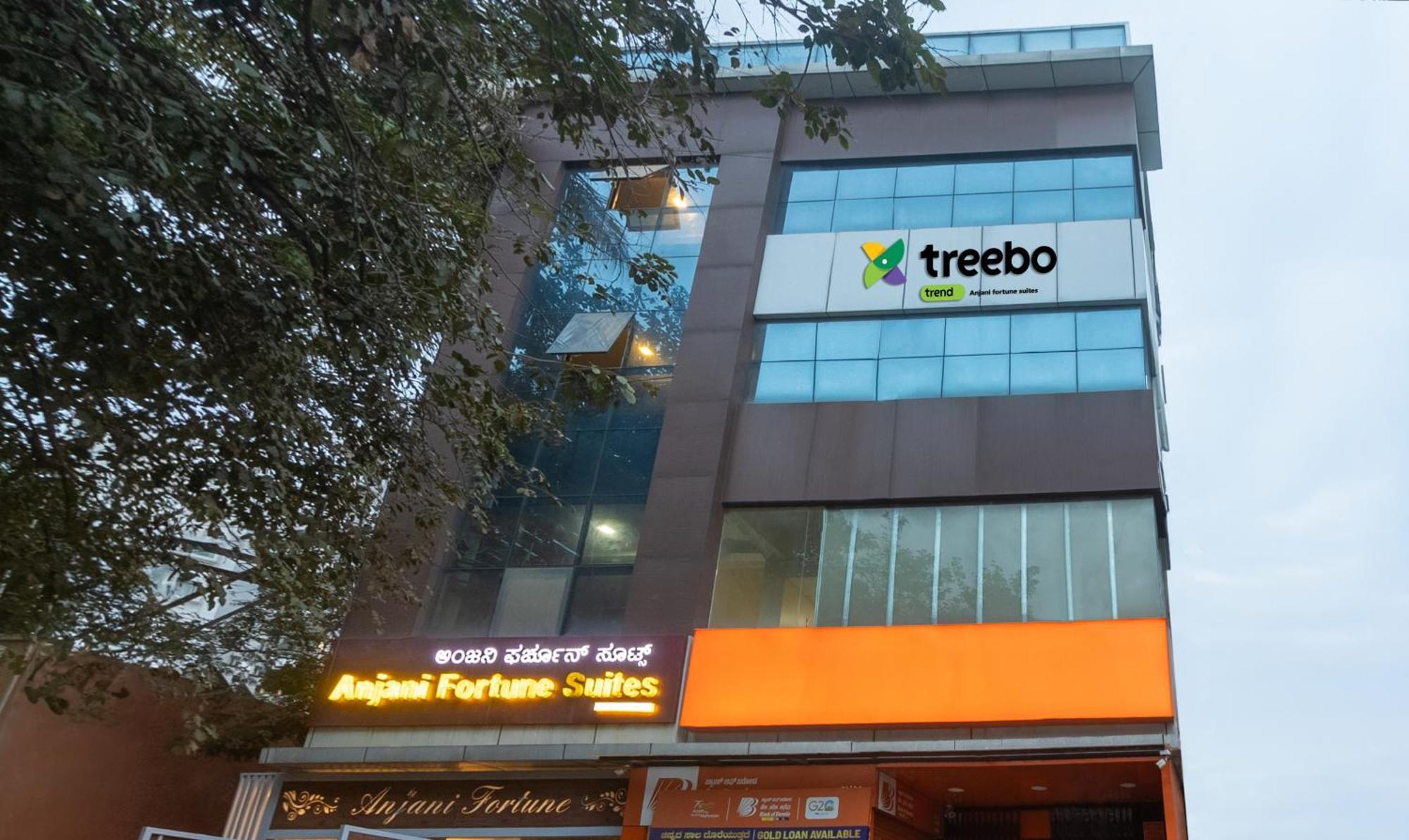 Hotel Treebo Anjani Fortune 3*