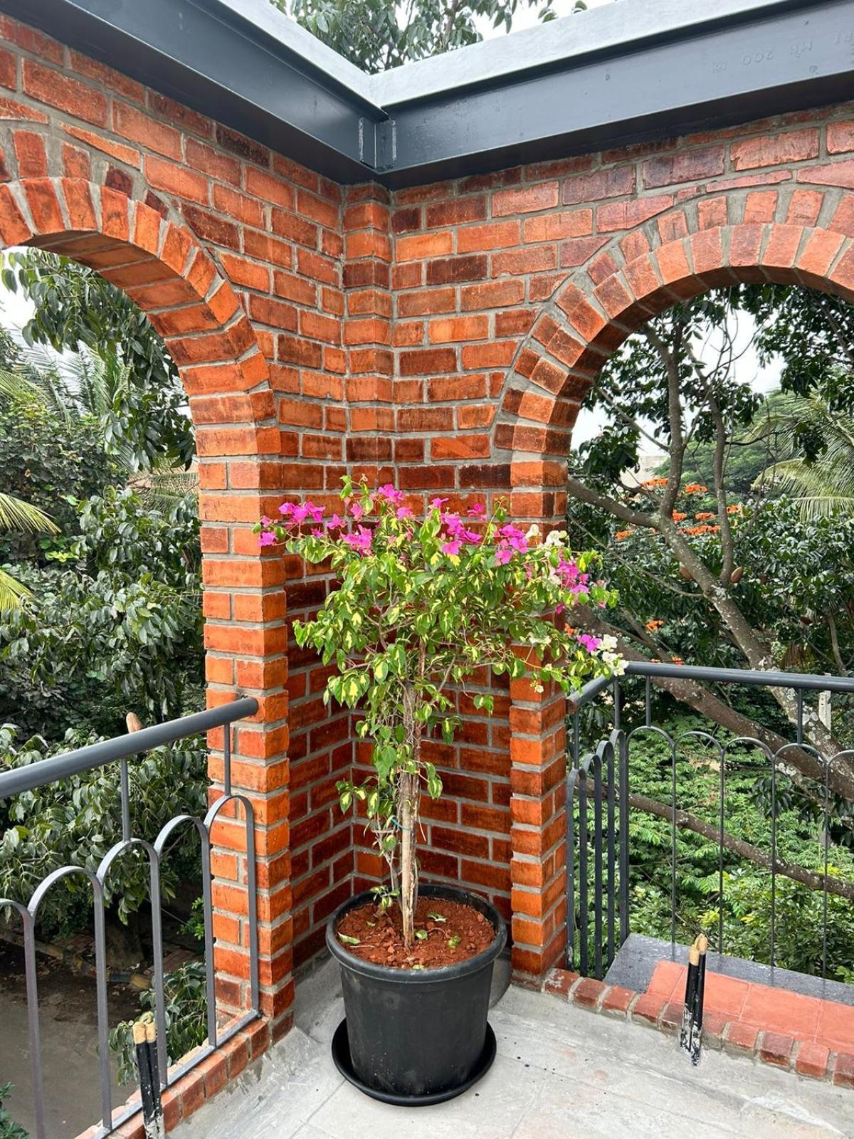 Limelights Premium Bed & Breakfast Bangalore