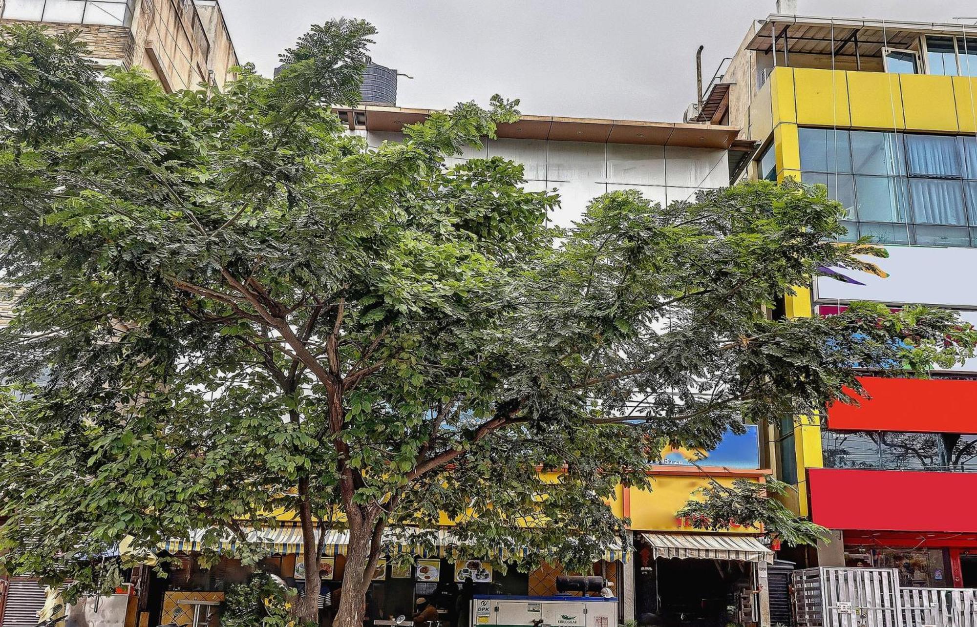 Hotel Collection O Vijaya Lakshmi Residency 2*