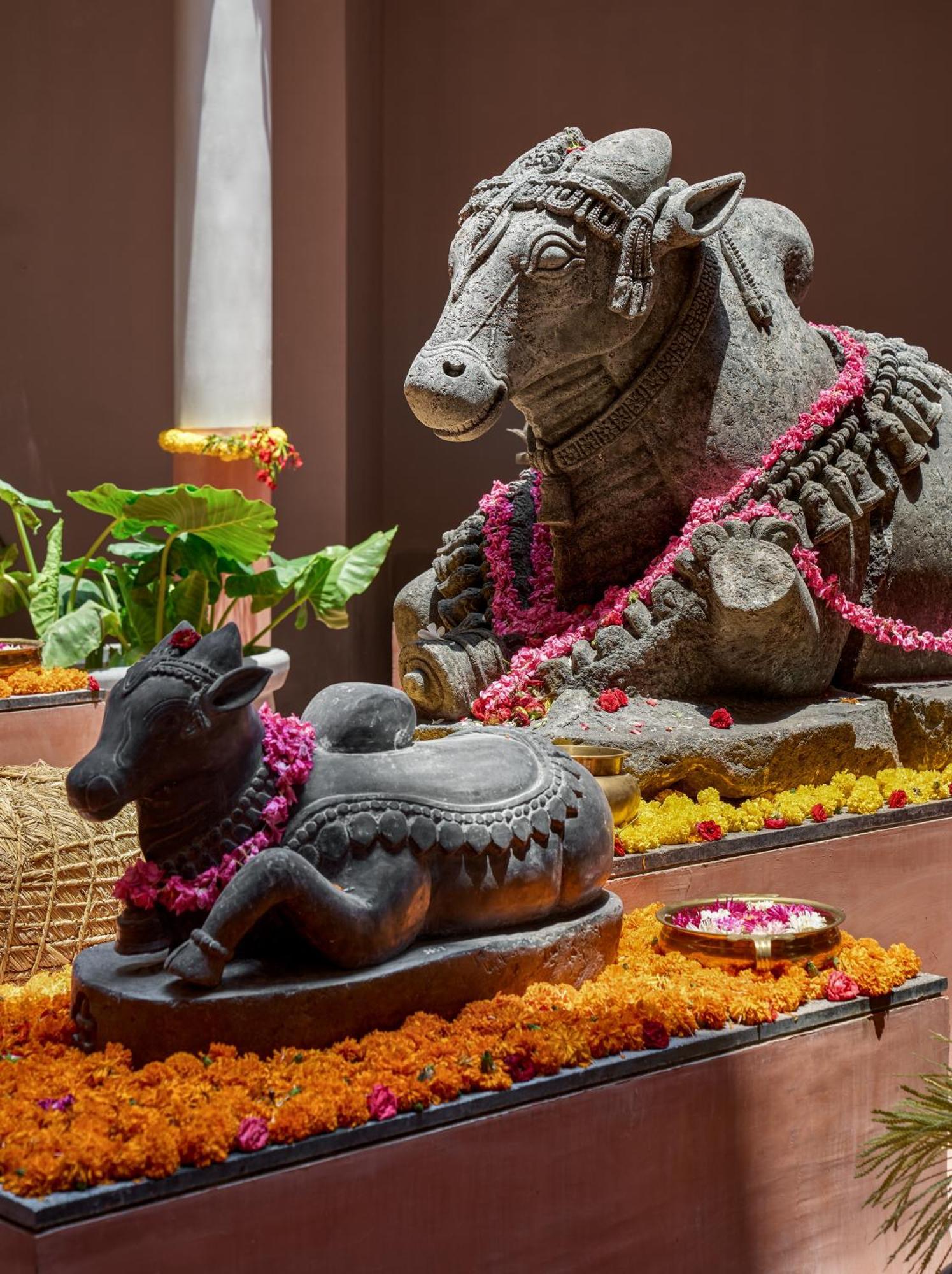 Kshemavana The Wellness Retreat Resort Bangalore