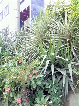 Hotel T.a.p. Gold Crest Bangalore