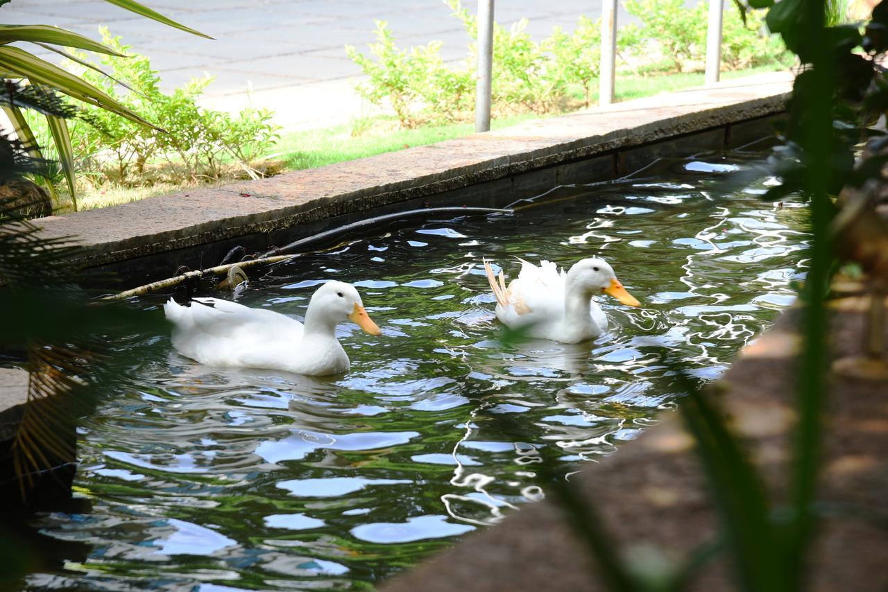 Royal Orchid Whitefield Hotel