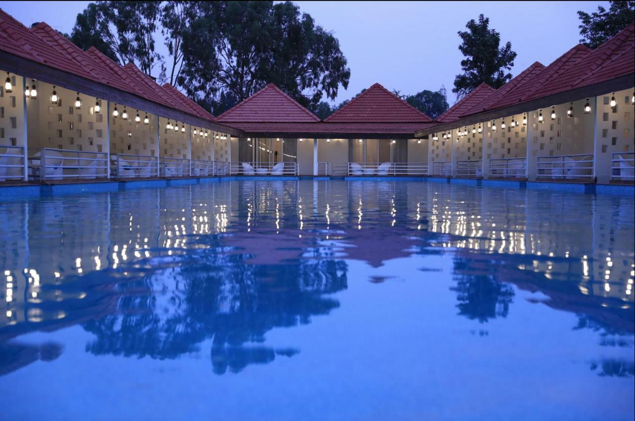 Ezone Lagoon