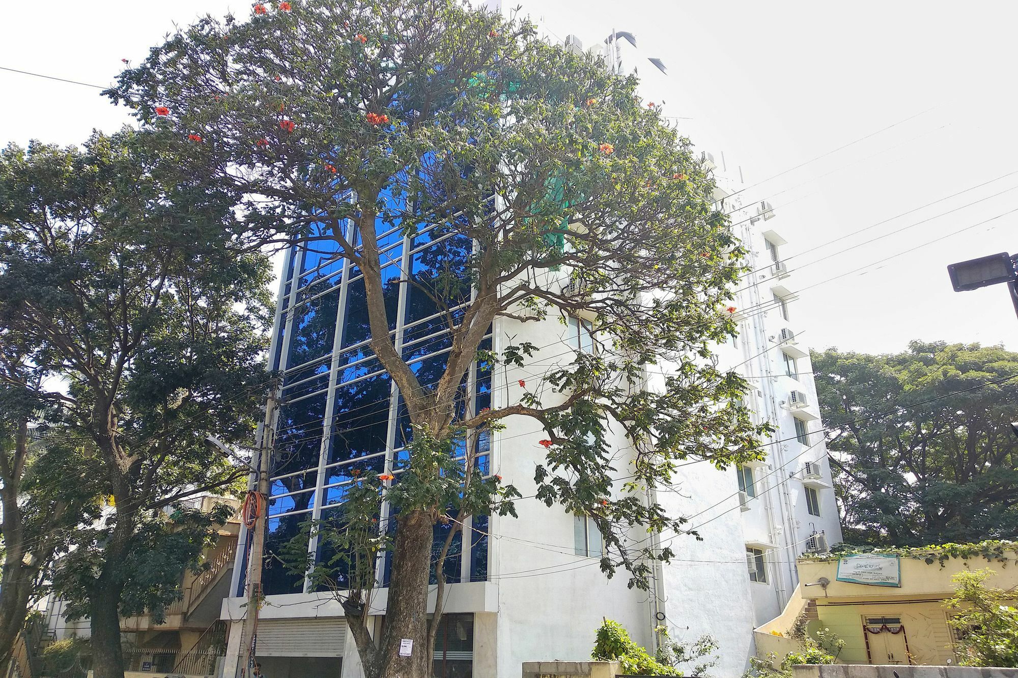 Oyo 10521 Gck Hotel Bangalore