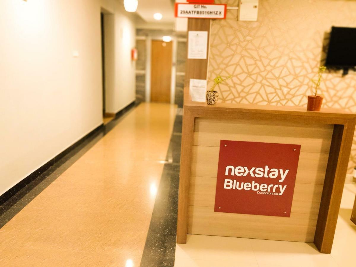 Nexstay Blueberry Bellandur Bangalore
