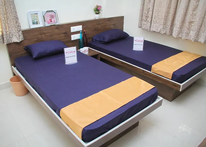 C Suites - Orange