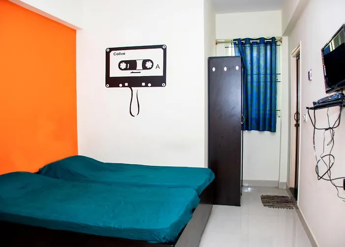 C Suites - Magnum