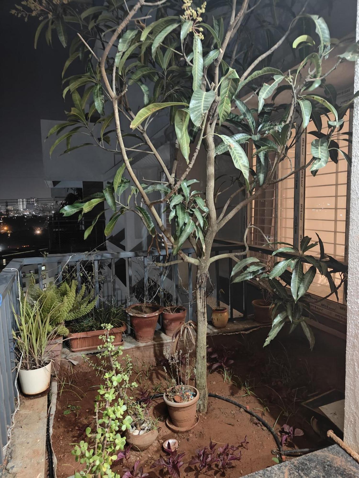 Singh's Space L Luxurious 2bhk L On Floor With Large Balcony *