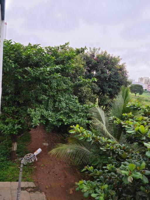 Apartment Saashivnest Homestay
