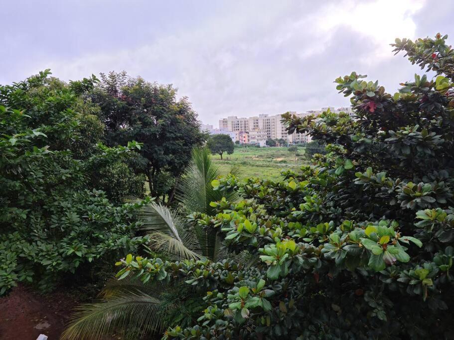 Saashivnest Homestay Apartment Bangalore