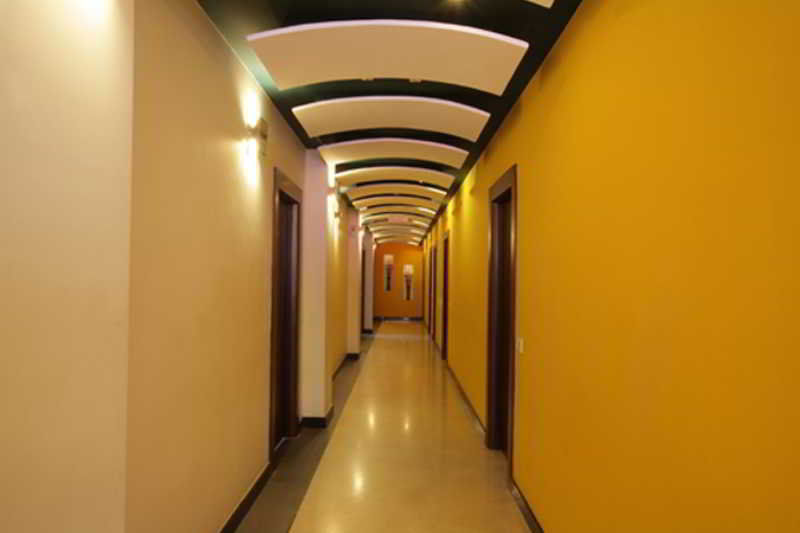Curzon